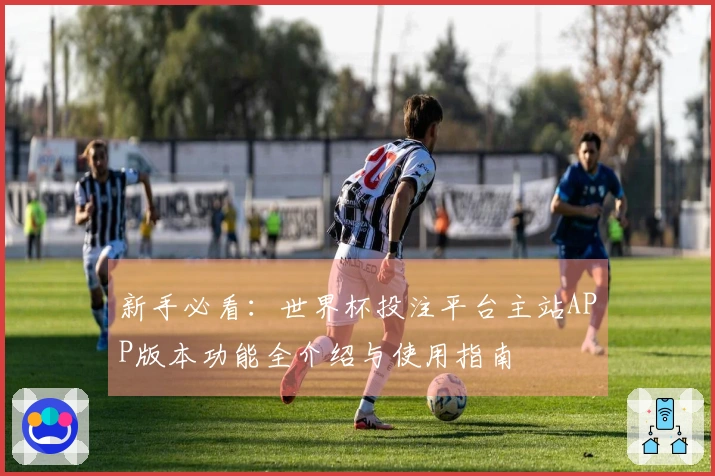 新手必看：世界杯投注平台主站APP版本功能全介绍与使用指南