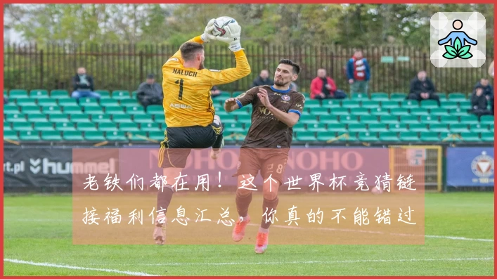 老铁们都在用！这个世界杯竞猜链接福利信息汇总，你真的不能错过！