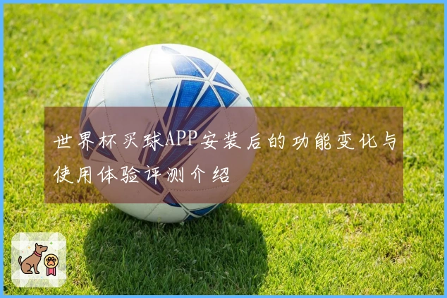 世界杯买球APP安装后的功能变化与使用体验评测介绍