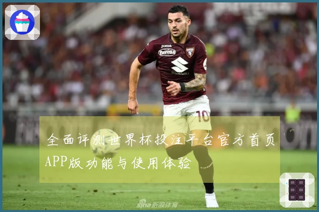 全面评测世界杯投注平台官方首页APP版功能与使用体验