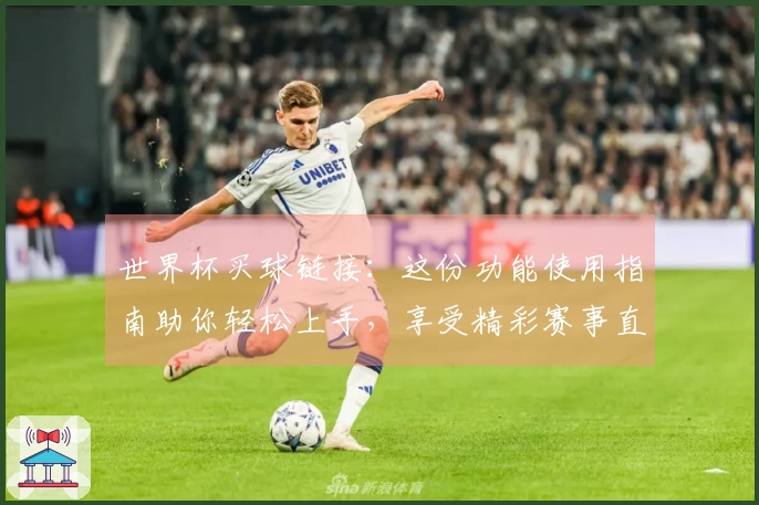 世界杯买球链接：这份功能使用指南助你轻松上手，享受精彩赛事直播。