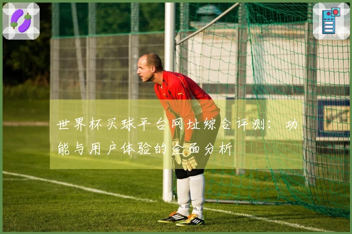 世界杯买球平台网址综合评测：功能与用户体验的全面分析