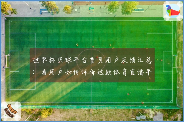 世界杯买球平台首页用户反馈汇总：看用户如何评价这款体育直播平台