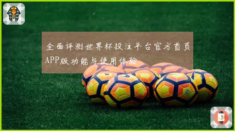 全面评测世界杯投注平台官方首页APP版功能与使用体验